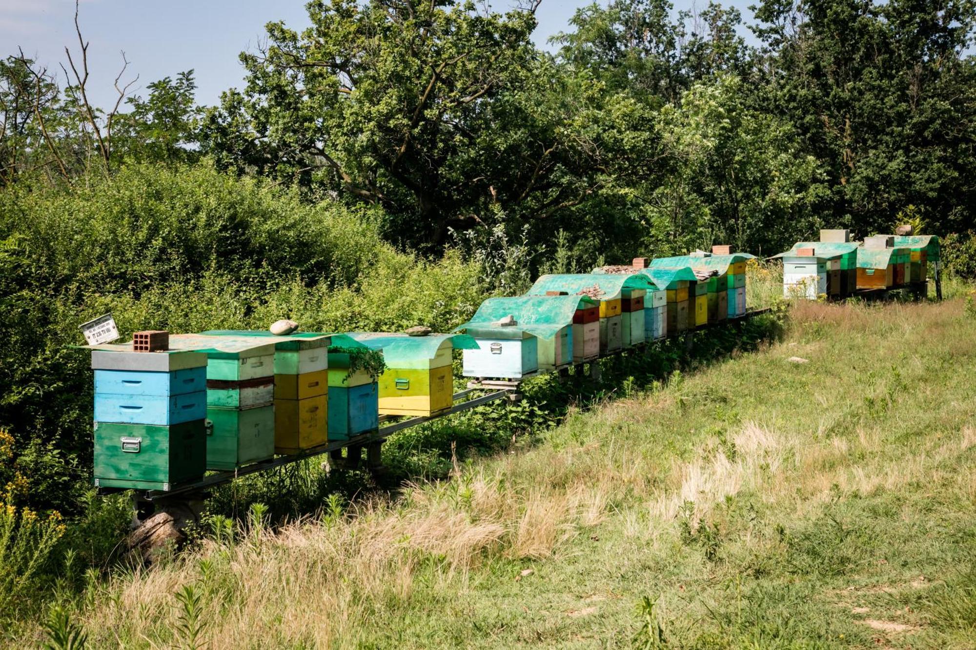 Agriturismo Parco Campofelice Lombardore Ngoại thất bức ảnh