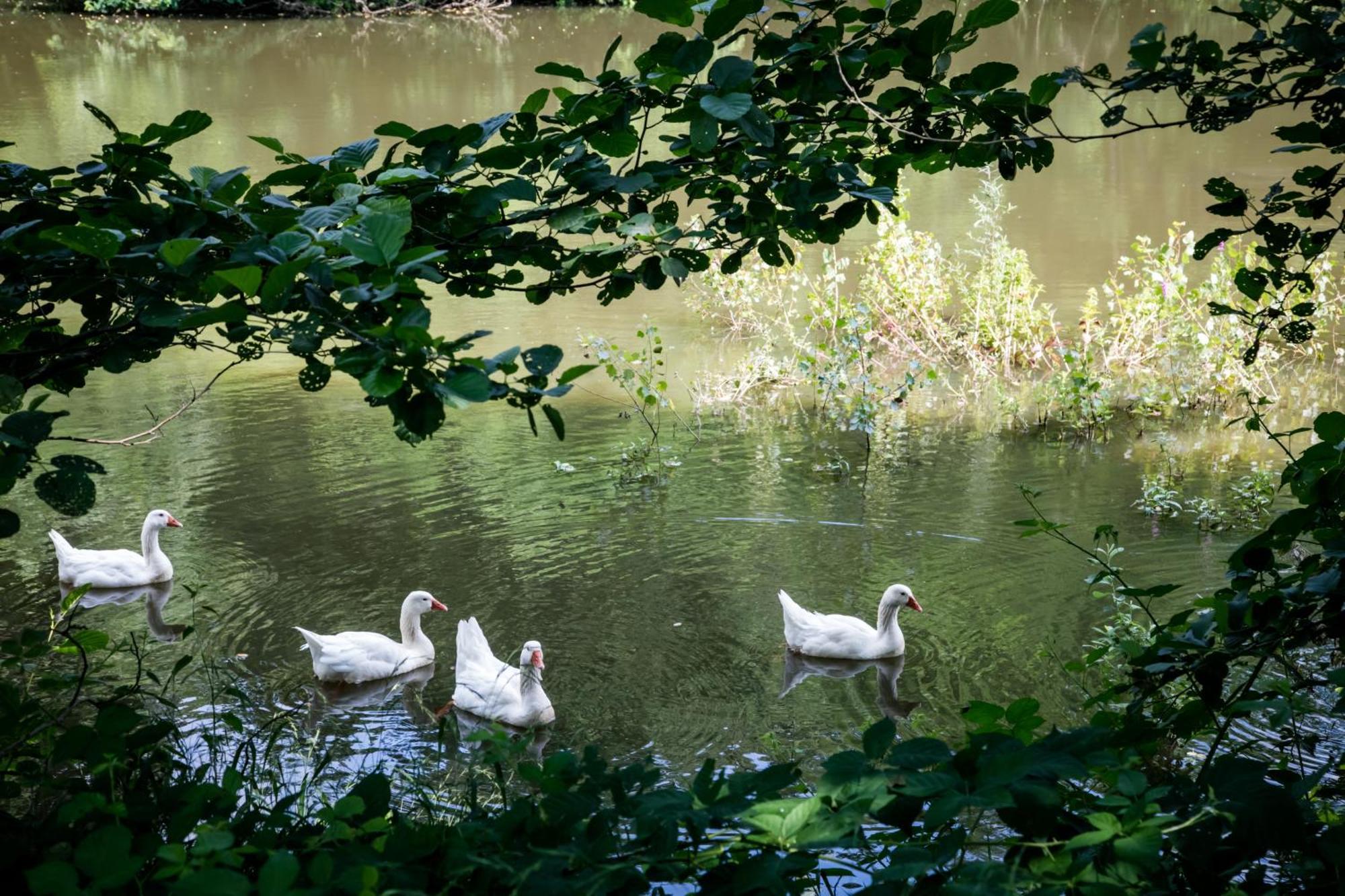 Agriturismo Parco Campofelice Lombardore Ngoại thất bức ảnh