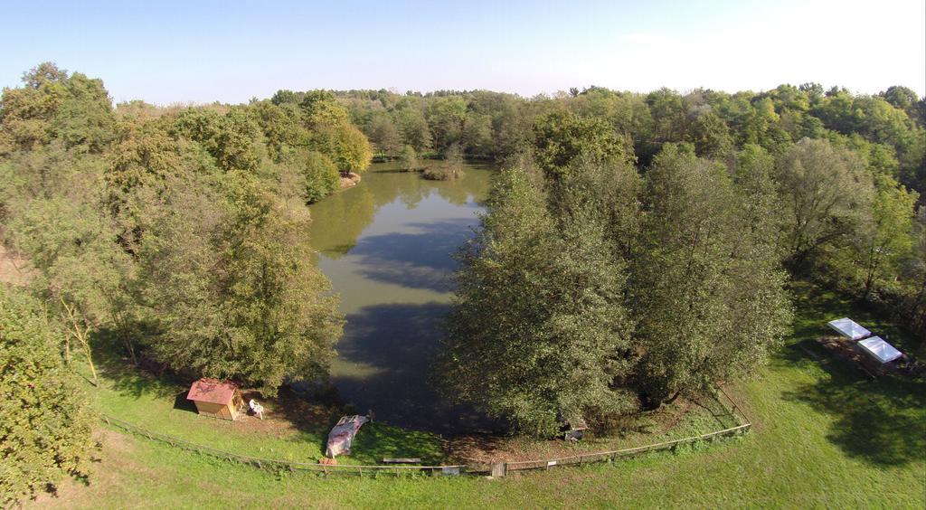 Agriturismo Parco Campofelice Lombardore Ngoại thất bức ảnh